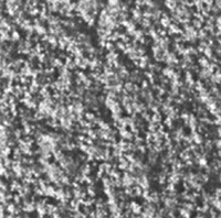 Coarse Foliage -- Dark Green