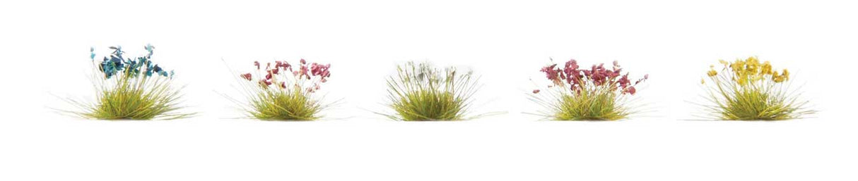 Flowers /250-2