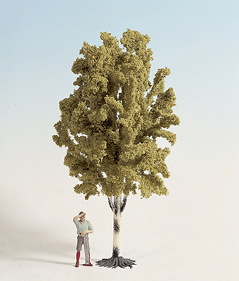 Birch Tree -- 13-1/2"  33.7cm Tall
