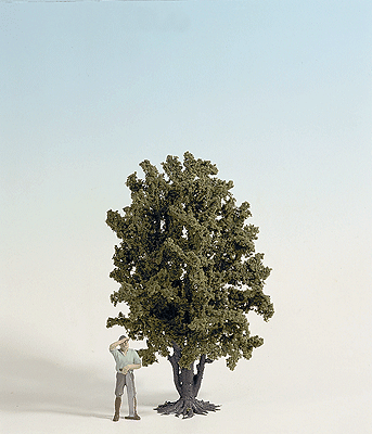 Trees -- Deciduous 24cm