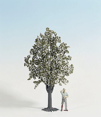 Fruit Trees -- White Flowering 30cm