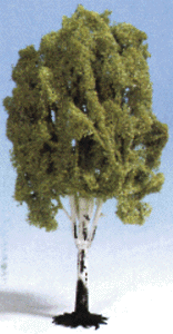 Tree birch 13-1/2"