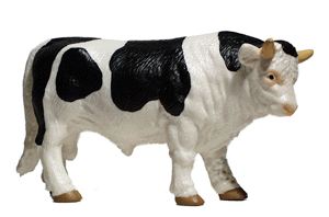 Animals -- Steer