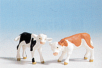Animals -- Calves (brown/black/white)