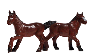 Animals -- Brown Foals