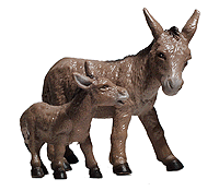 Animals -- Donkey w/Foal
