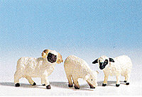 Animals -- Sheep