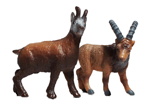 Animals -- Mountain Goats