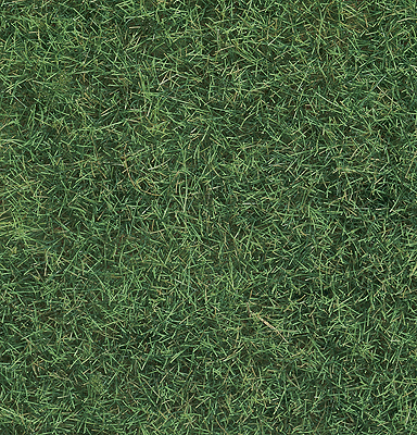 Wild Grass - 1-3/4oz  50g -- Light Green