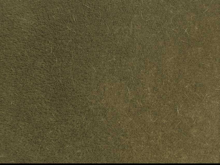 Wild Grass Browm-2