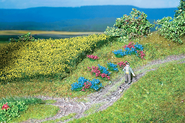 Wild Flowers pkg(104)