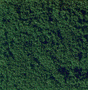 Fine Flock - 20 Grams -- Dark Green