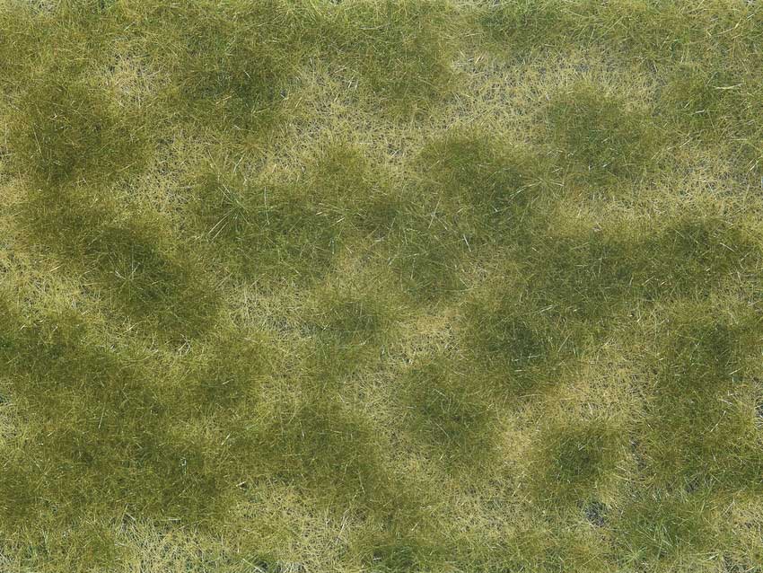 Ground Cover Foliage Pad -- Green-Beige 4-3/4 x 7-1/16" 12 x 18cm