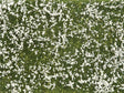 Ground Cover Foliage Pad -- Meadow White 4-3/4 x 7-1/16" 12 x 18cm