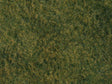 Wild Grass Foliage Lt Grn