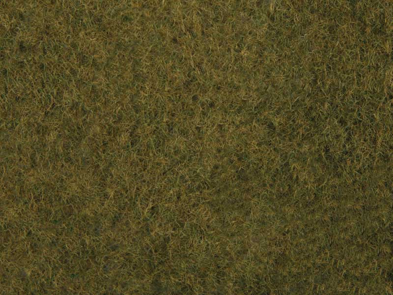 Wild Grass Foliage OlvGrn