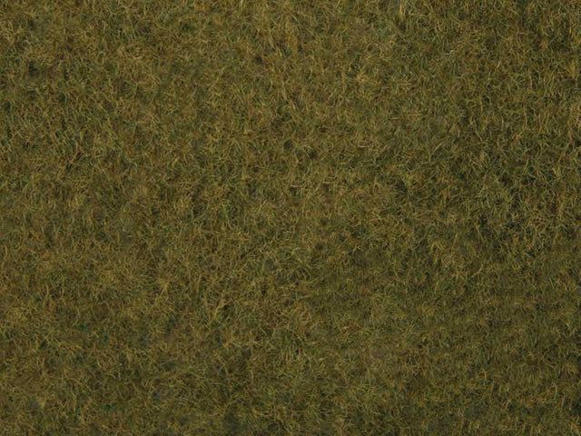 Wild Grass Foliage OlvGrn