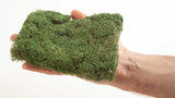 Bushes -- Medium Green 1-7/16oz 40g-2