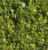 Leaves Scatter Material -- Light Green