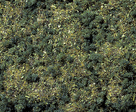 Scatter Material -- Forest