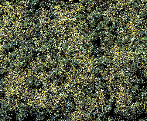 Scatter Material -- Forest