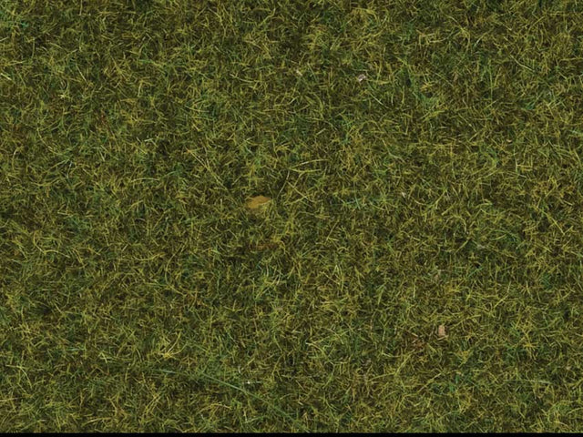 Scatter Material - .7oz  20g -- Meadow