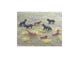 Dogs -- pkg(8)