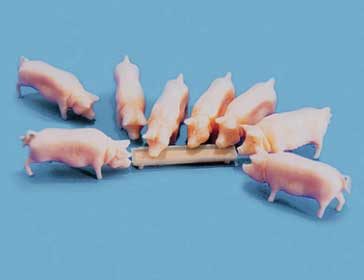 Pigs and Trough -- pkg(8)
