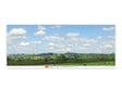 Backscene Photographic Background 95 x 13"  240 x 33.3cm -- Water Meadow-1