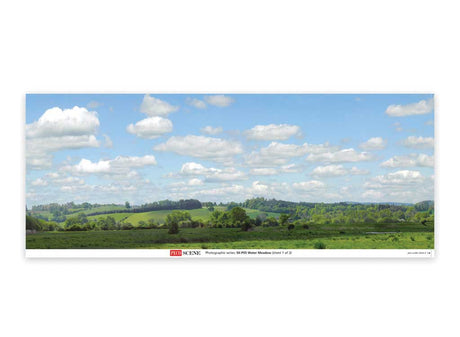 Backscene Photographic Background 95 x 13"  240 x 33.3cm -- Water Meadow-1