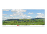 Backscene Photographic Background 95 x 13"  240 x 33.3cm -- Water Meadow-2