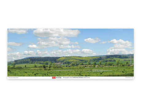 Backscene Photographic Background 95 x 13"  240 x 33.3cm -- Water Meadow-2