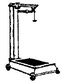 Platform Scale