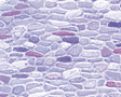 Patterned Sheets - Stone - Field Stone - .020 x 7 x 12" pkg(2) -- .325" Gray Stones