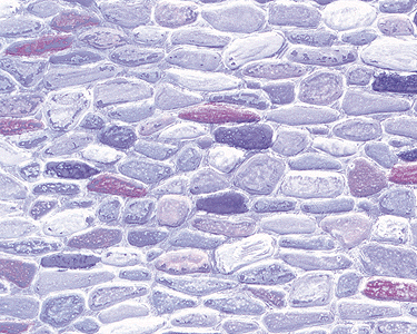 Patterned Sheets - Stone - Field Stone - .020 x 7 x 12" pkg(2) -- .325" Gray Stones
