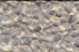 Patterned Sheets - Stone - Rock Embankment - .020 x 7 x 12" pkg(2) -- .125" Beige Stones