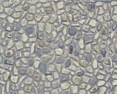 Patterned Sheets - Stone - Random Field Stone - .020 x 7 x 12" pkg(2) -- .170" Beige Stones