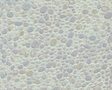 Patterned Sheets - Stone - Random Polished - .020 x 7 x 12" pkg(2) -- .225" Beige Stones