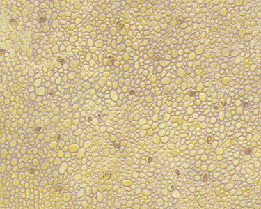 Patterned Sheets - Stone - Random Polished - .020 x 7 x 12" pkg(2) -- .125" Beige Stones