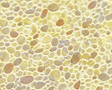 Patterned Sheets - Stone - Random Polished - .020 x 7 x 12" pkg(2) -- .312" Beige Stones