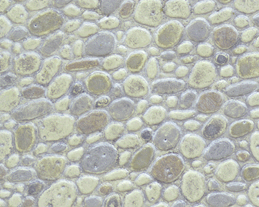 Patterned Sheets - Stone - Random Polished - .020 x 7 x 12" pkg(2) -- .375" Beige Stones
