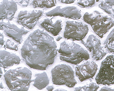 Patterned Sheets - Stone - Round Field Stone - .020 x 7 x 12" pkg(2) -- ,810" Beige Stones