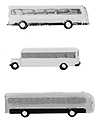 City Transit Buses