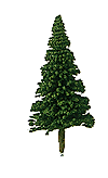 Fir Trees -- 1/2"