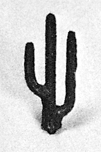 Saguaro Cactus