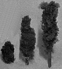 Deciduous trees       10/