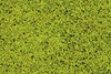 Fine Ground Foam -- Spring Green