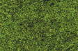Fine Ground Foam -- Grass Green