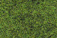 Fine Ground Foam -- Grass Green