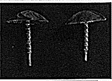 Tiki Umbrella w/Lounges